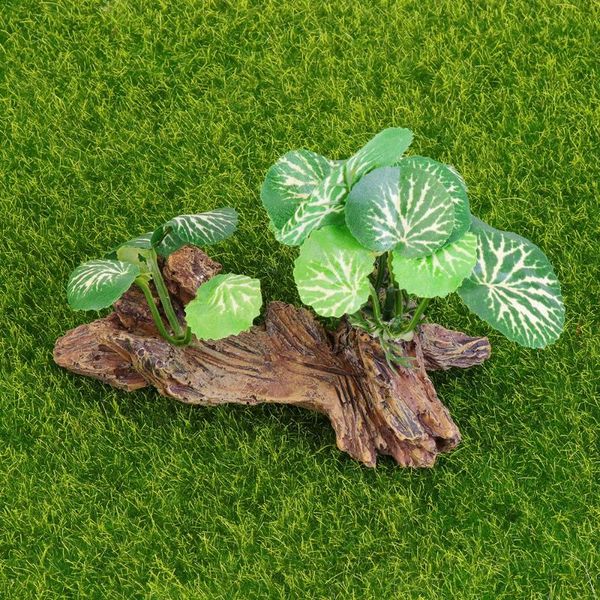 aquarium wood sculpture grass figure fish tank landscape ornament resin deskdecoration po props model supplies (green) decorations
aquarium wood sculpture grass figure fish tank landscape ornament resin deskdecoration po props model supplies (green) decorations