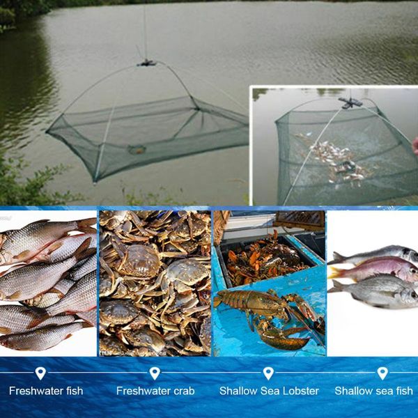 layers fishing net outdoor portable easy carrying 60x60cm folding fish shrimp mesh cage tackle tool accessories
layers fishing net outdoor portable easy carrying 60x60cm folding fish shrimp mesh cage tackle tool accessories