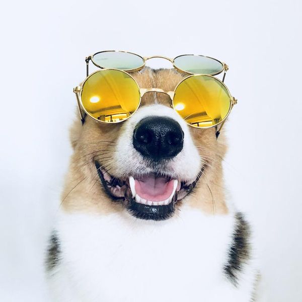 dog apparel medium large glasses fashion eye-wear sunglasses for cats christmas pos props pet grooming accessories supplies size s/l
dog apparel medium large glasses fashion eye-wear sunglasses for cats christmas pos props pet grooming accessories supplies size s/l