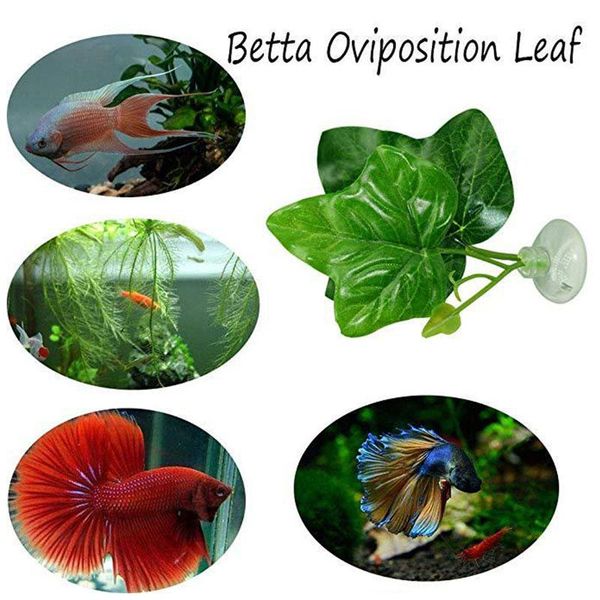 decorations simulation artificial plants aquarium decor water ornament plant fish tank leaf beautiful decoration
decorations simulation artificial plants aquarium decor water ornament plant fish tank leaf beautiful decoration