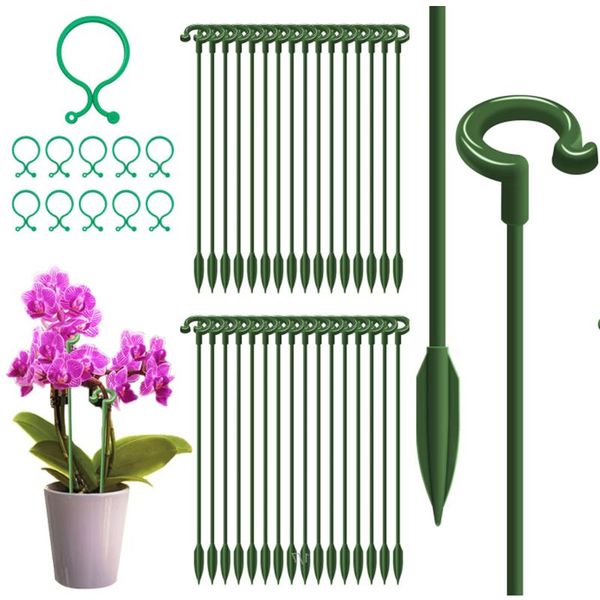 other garden supplies 30pcs 15 inch plant stakes flower support single stem with 20pcs rings for amaryllis peony tomatoes
other garden supplies 30pcs 15 inch plant stakes flower support single stem with 20pcs rings for amaryllis peony tomatoes