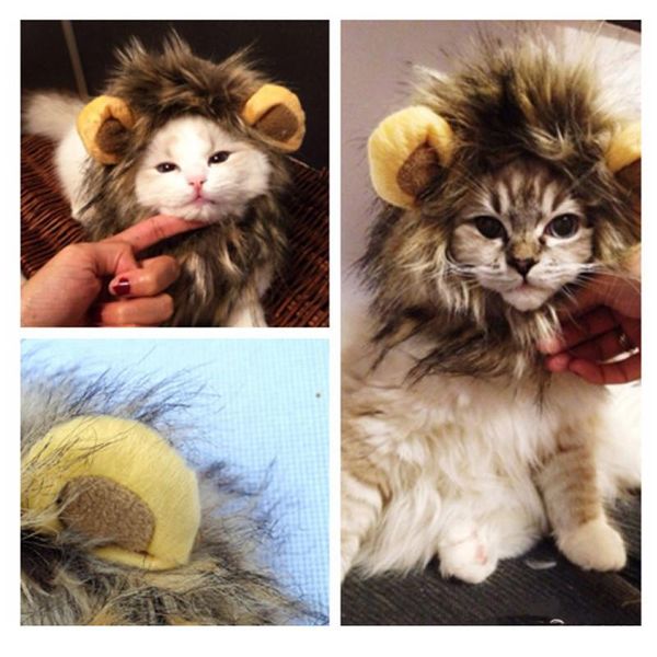 fancy pet hat costume cute lion mane cat wig halloween christmas party dress up headgear lion's costumes
fancy pet hat costume cute lion mane cat wig halloween christmas party dress up headgear lion's costumes