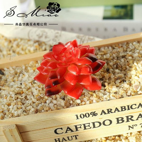 decorative flowers & wreaths artificial succulent plants aloe zebrina landscape fake flower arrangement garden decoration accessories
decorative flowers & wreaths artificial succulent plants aloe zebrina landscape fake flower arrangement garden decoration accessories