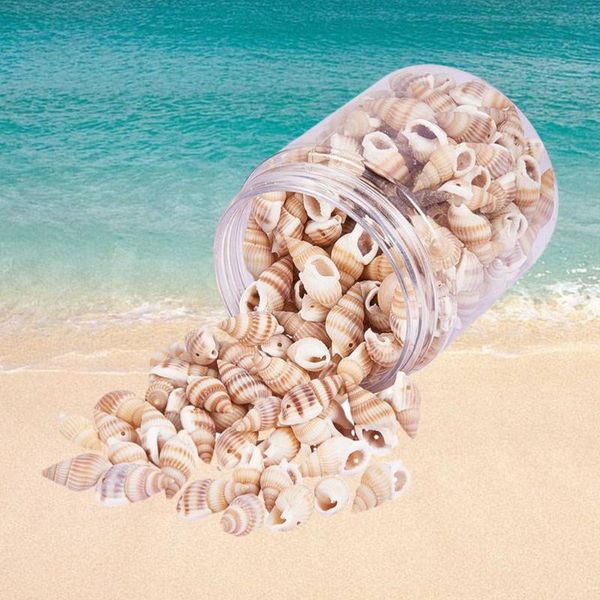 tiny sea shell craft charms for candle making home decoration beach theme party wedding decor fish tank and vase fille (1 box) novelty items
tiny sea shell craft charms for candle making home decoration beach theme party wedding decor fish tank and vase fille (1 box) novelty items