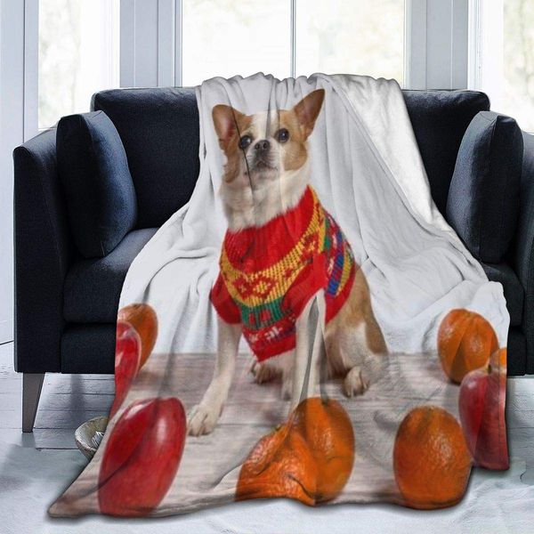 throw blanket for kids teens adults warm chihuahua dog multicolored sweater pet on wooden animals wildlife beautiful all season
throw blanket for kids teens adults warm chihuahua dog multicolored sweater pet on wooden animals wildlife beautiful all season