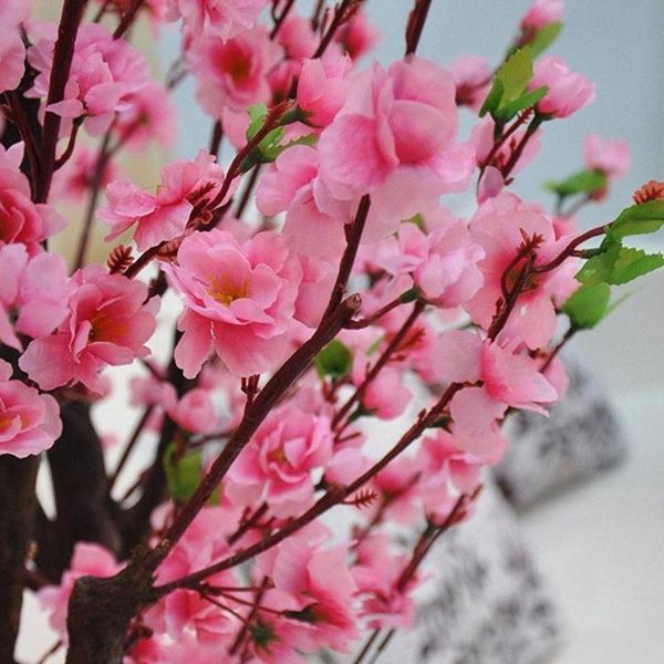 single simulation peach blossom plum fake branch landscape flower wedding party garden artificial home decoration j5b7 decorative flowers &
single simulation peach blossom plum fake branch landscape flower wedding party garden artificial home decoration j5b7 decorative flowers &