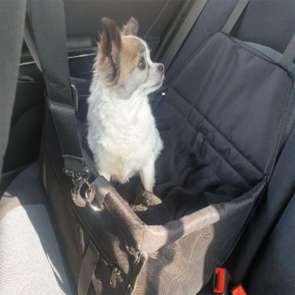 car organizer pet carriers dog seat cover carrying for cats mat blanket rear back hammock protector transportation waterproof
car organizer pet carriers dog seat cover carrying for cats mat blanket rear back hammock protector transportation waterproof