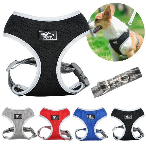 dog collars & leashes soft mesh harness and lead set breathable reflective walking vest accessories for small dogs leash yorkshire terrier
dog collars & leashes soft mesh harness and lead set breathable reflective walking vest accessories for small dogs leash yorkshire terrier