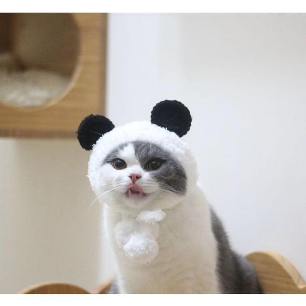 cat dog head band cosplay cap headdress performance props funny pet hat frog lion headgear costumes
cat dog head band cosplay cap headdress performance props funny pet hat frog lion headgear costumes