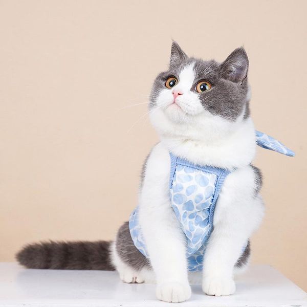 cat costumes pet clothes straps breathable hairless fabric puppy vest t-shirt shirt cute pajamas summer maltese dog sundress
cat costumes pet clothes straps breathable hairless fabric puppy vest t-shirt shirt cute pajamas summer maltese dog sundress