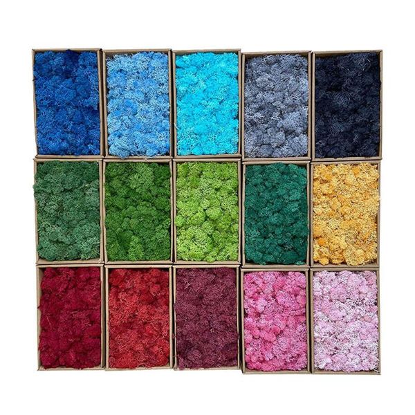 decorative flowers & wreaths eternal life simulation plants moss / garden home wall decor flower material mini landscape fake gift,200g
decorative flowers & wreaths eternal life simulation plants moss / garden home wall decor flower material mini landscape fake gift,200g