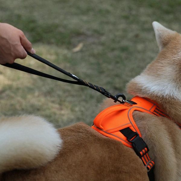 dog collars & leashes pet supplies nylon retractable elastic seat puppy vehicle car safety lever auto traction rope leash belt
dog collars & leashes pet supplies nylon retractable elastic seat puppy vehicle car safety lever auto traction rope leash belt