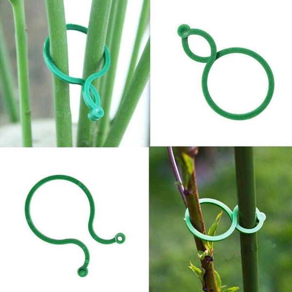 50/100 pcs plant support garden clips trellis for vine vegetable tomato to grow upright stand tool accessories planters & pots
50/100 pcs plant support garden clips trellis for vine vegetable tomato to grow upright stand tool accessories planters & pots