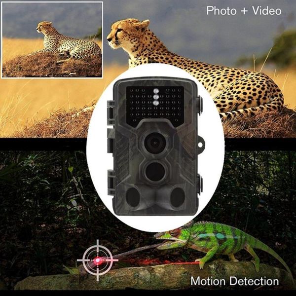 trail cameras night vision hunting camera 1080p hd digital infrared wildlife scouting animal waterproof thermal imager
trail cameras night vision hunting camera 1080p hd digital infrared wildlife scouting animal waterproof thermal imager
