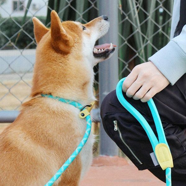 dog collars & leashes pet integrated retractable leash flexible cat adjustable reflective traction rope belt for s/m dogs supplies
dog collars & leashes pet integrated retractable leash flexible cat adjustable reflective traction rope belt for s/m dogs supplies
