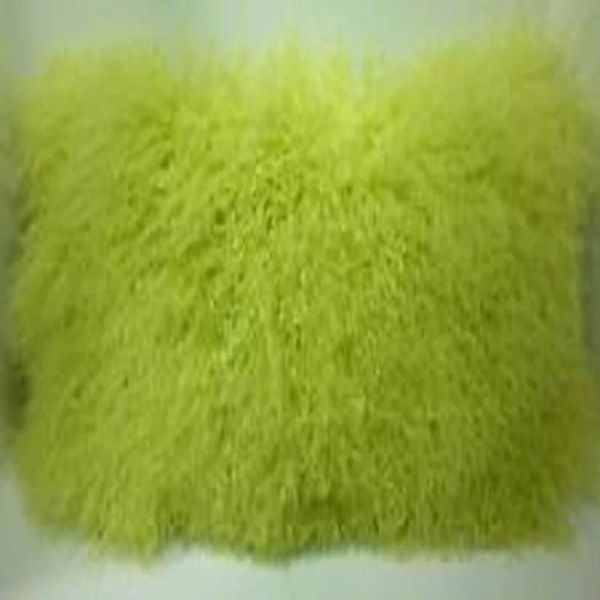 green mongolian fur pillow cover sofa tibetan sheep cushion covers decorative throw pillows cushion/decorative
green mongolian fur pillow cover sofa tibetan sheep cushion covers decorative throw pillows cushion/decorative