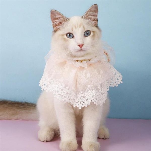 cat collars & leads pet dog collar lace bib cats pearls scarf easy to adjustable soft costume decor
cat collars & leads pet dog collar lace bib cats pearls scarf easy to adjustable soft costume decor