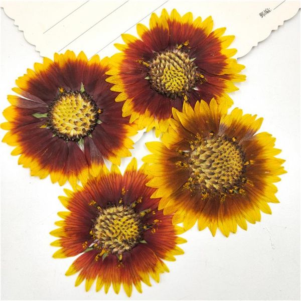 decorative flowers & wreaths chrysanthemum tiger skin children parent-child diy handmade plant specimen dry hua ya flower bookmark face
decorative flowers & wreaths chrysanthemum tiger skin children parent-child diy handmade plant specimen dry hua ya flower bookmark face