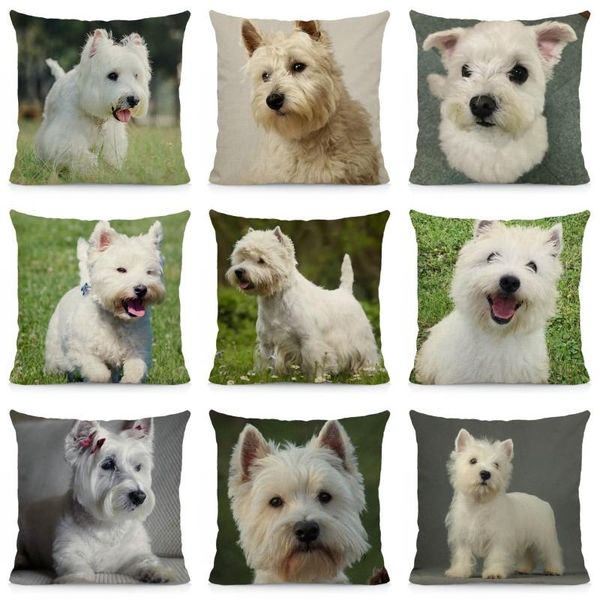 cushion/decorative pillow cute west highland white terrier cushion cover 45x45cm throw case dog print decorative pillows dwg052
cushion/decorative pillow cute west highland white terrier cushion cover 45x45cm throw case dog print decorative pillows dwg052