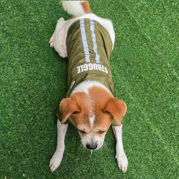 foldable pet raincoat puppy rain clothes with reflective stripes waterproof hooded dog for pets supplies apparel
foldable pet raincoat puppy rain clothes with reflective stripes waterproof hooded dog for pets supplies apparel