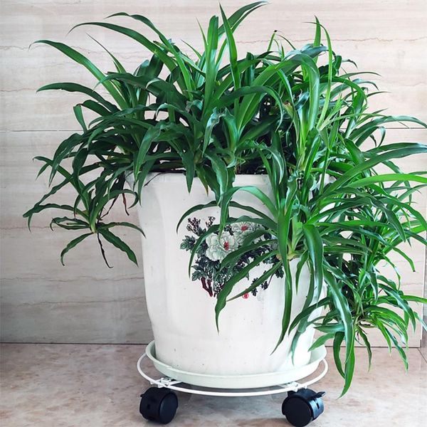 planters & pots metal round flower plant pot tray 4 wheels heavy planter flowers mover trolley plate stand holder with brake garden tools
planters & pots metal round flower plant pot tray 4 wheels heavy planter flowers mover trolley plate stand holder with brake garden tools