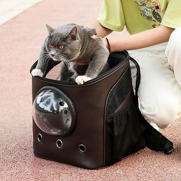 pet cat dog backpack travel carrier double shoulder bag space for small carrying
pet cat dog backpack travel carrier double shoulder bag space for small carrying
