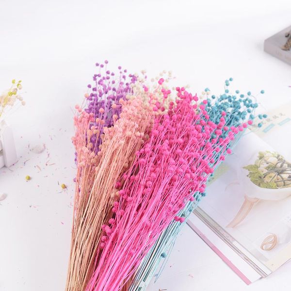 decorative flowers & wreaths dried flower 60g/bundle preserved bouquet acacia bean artifivial for wedding home decor diy mariage wreath craf
decorative flowers & wreaths dried flower 60g/bundle preserved bouquet acacia bean artifivial for wedding home decor diy mariage wreath craf
