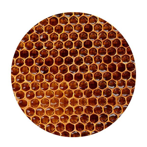 fashion personality honeycombs carpet mat bee printing floor mattextile for home bath bedroom xkw carpets
fashion personality honeycombs carpet mat bee printing floor mattextile for home bath bedroom xkw carpets