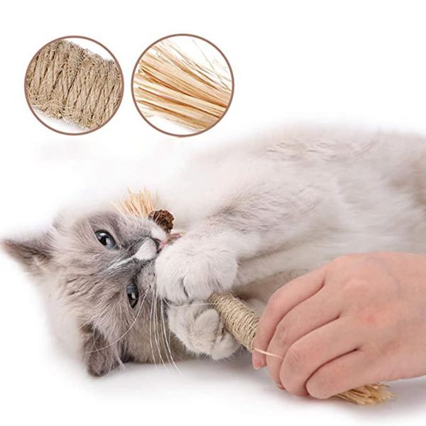 small animal supplies cat catnip pure natural toothpaste stick sticks cleaning teeth pet molar rod
small animal supplies cat catnip pure natural toothpaste stick sticks cleaning teeth pet molar rod