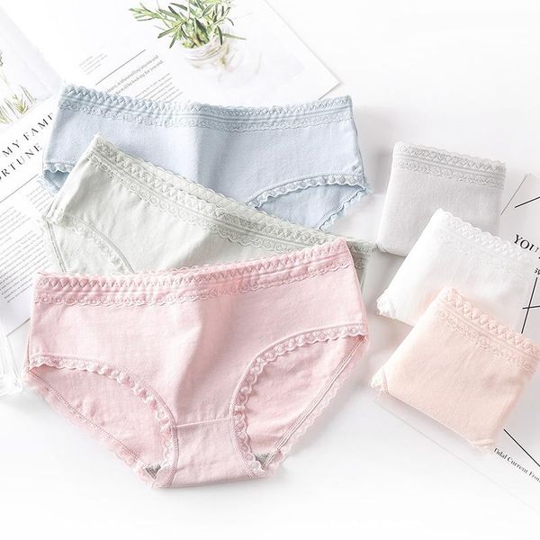 women's panties hyrax women comfort triangle pants made by rewdm underwear, Black;pink
women's panties hyrax women comfort triangle pants made by rewdm underwear, Black;pink