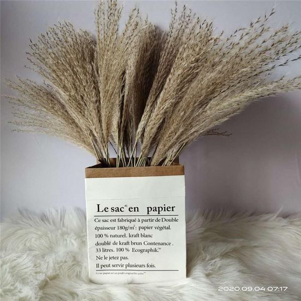 decorative flowers & wreaths 30pcs dried pampas grass bunch pure natural reed window display wedding decoration flower no vase
decorative flowers & wreaths 30pcs dried pampas grass bunch pure natural reed window display wedding decoration flower no vase