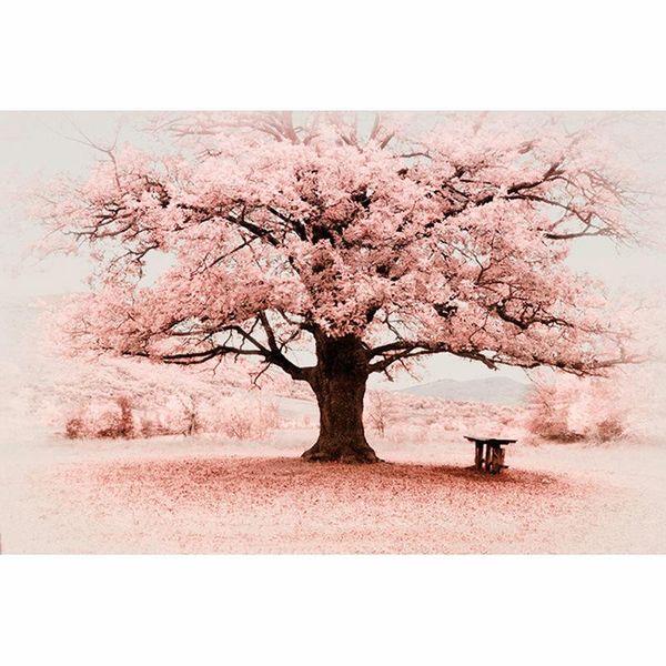diamond painting 5d diy cherry blossoms scenery flowers cross stitch full round drill mosaic decoration unframed cv182
diamond painting 5d diy cherry blossoms scenery flowers cross stitch full round drill mosaic decoration unframed cv182