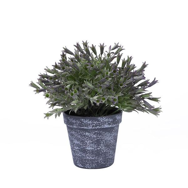 retro simulation broken intestines bonsai flower home decoration deskplant potted decorative flowers & wreaths
retro simulation broken intestines bonsai flower home decoration deskplant potted decorative flowers & wreaths