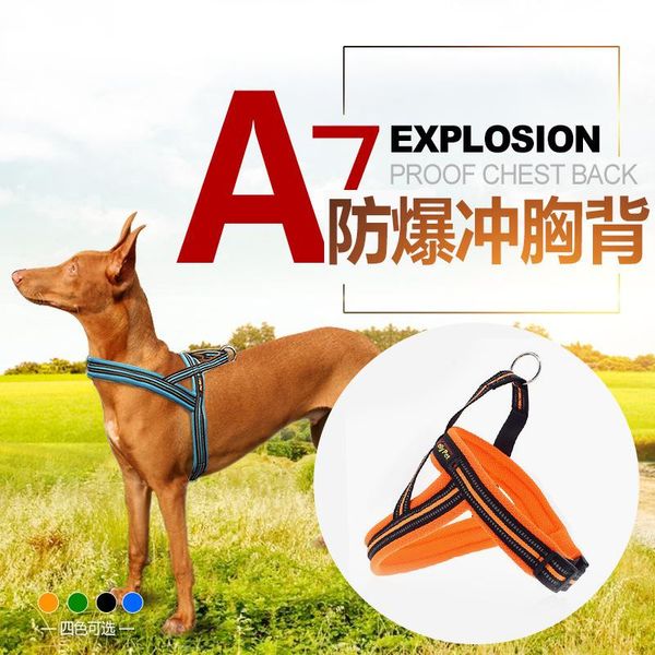 dog collars & leashes pet products explosion proof double reflective edurance harnesses
dog collars & leashes pet products explosion proof double reflective edurance harnesses