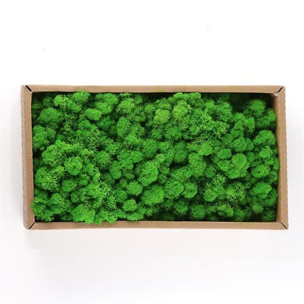 decorative flowers & wreaths preserved moss durable natural artificial wall landscaping green plants for home decorations model making
decorative flowers & wreaths preserved moss durable natural artificial wall landscaping green plants for home decorations model making