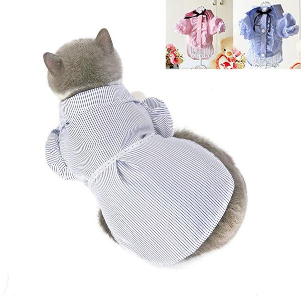 cat costumes clothes summer thin korean style shirt pet clothing british shorthair blue kitten cute
cat costumes clothes summer thin korean style shirt pet clothing british shorthair blue kitten cute