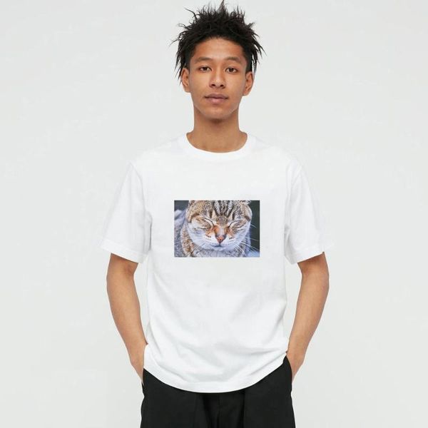 men's t-shirts summer style husky cat po 100% cotton mens and women's t-shirt casual o-neck short sleeve tees for men 42b42w, White;black
men's t-shirts summer style husky cat po 100% cotton mens and women's t-shirt casual o-neck short sleeve tees for men 42b42w, White;black