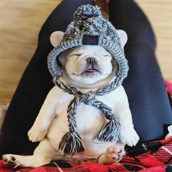 pet puppy accessories for dogs hats winter dog hat adorable warm cap beanies with pompon crocheted snood apparel
pet puppy accessories for dogs hats winter dog hat adorable warm cap beanies with pompon crocheted snood apparel