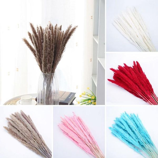 para decoracion 15pcs dried small pampas grass flowers pantas artificiales real plants home decor wedding dekoration sechee 
para decoracion 15pcs dried small pampas grass flowers pantas artificiales real plants home decor wedding dekoration sechee