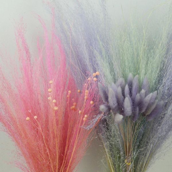 stems dry flowers small pampas grass phragmites communis dried bouquet for wedding nin668 decorative & wreaths
stems dry flowers small pampas grass phragmites communis dried bouquet for wedding nin668 decorative & wreaths