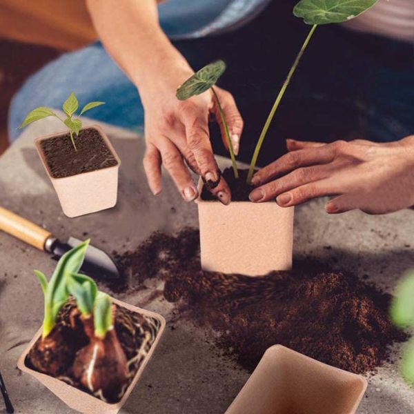 40pcs/set square seed nursery pots plant starter peat flower vegetable seedlings cup paper trays garden supplies planters &
40pcs/set square seed nursery pots plant starter peat flower vegetable seedlings cup paper trays garden supplies planters &