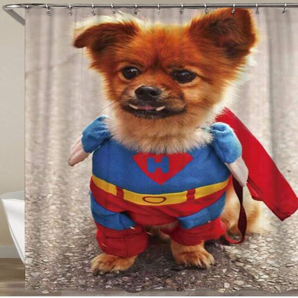 bathroom shower curtain,heroic pomeranian funny dog,polyester fabric shower curtains waterproof bath curtain with 12 hooks,72 x
bathroom shower curtain,heroic pomeranian funny dog,polyester fabric shower curtains waterproof bath curtain with 12 hooks,72 x