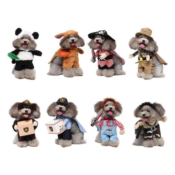 cat costumes funny clothes pirate suit for costume clothing corsair halloween dressing up party
cat costumes funny clothes pirate suit for costume clothing corsair halloween dressing up party