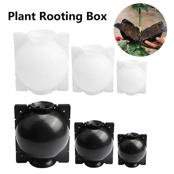 plant rooting device garden grafting box high pressure propagator plant rooter box growing propagation reproduction equipment
plant rooting device garden grafting box high pressure propagator plant rooter box growing propagation reproduction equipment