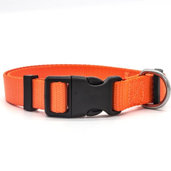 soft nylon dogs collar for small medium large pets outdoor training adjustable factory price wholesale customized support dog collars & leas
soft nylon dogs collar for small medium large pets outdoor training adjustable factory price wholesale customized support dog collars & leas