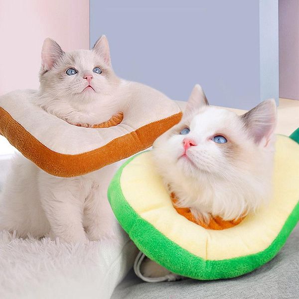 cat collars & leads cute soft cotton pet elizabethan collar adjustable bread fruit shape neck cone recovery wound healing ring u2
cat collars & leads cute soft cotton pet elizabethan collar adjustable bread fruit shape neck cone recovery wound healing ring u2