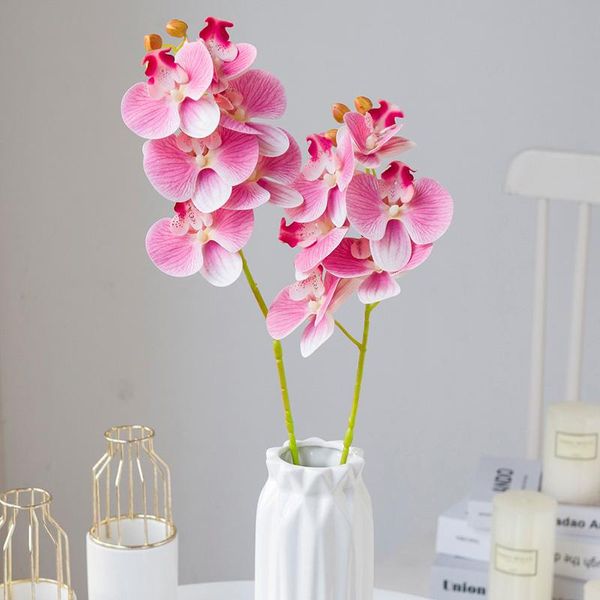 decorative flowers & wreaths 3d phalaenopsis silk orchid christmas decoration for home vases wedding artificial plants office decor
decorative flowers & wreaths 3d phalaenopsis silk orchid christmas decoration for home vases wedding artificial plants office decor