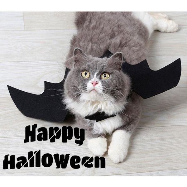 cat costumes halloween cosplay prop harness costume bat wing pet clothes for party supplies po props headwear
cat costumes halloween cosplay prop harness costume bat wing pet clothes for party supplies po props headwear