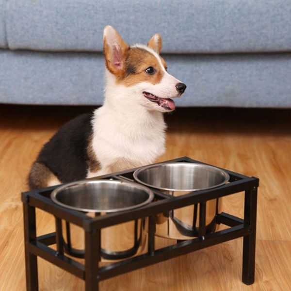 elevated dog feeder with 2 removable stainless steel bowls raised pet water dispenser stand for large cat & feeders
elevated dog feeder with 2 removable stainless steel bowls raised pet water dispenser stand for large cat & feeders