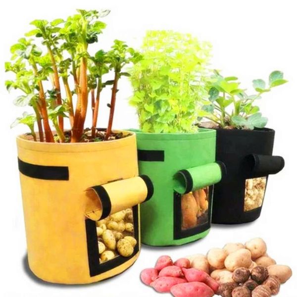 planters & pots 2pcs plant grow bags visualization design reusable potato carrot bag vegetable planter container
planters & pots 2pcs plant grow bags visualization design reusable potato carrot bag vegetable planter container